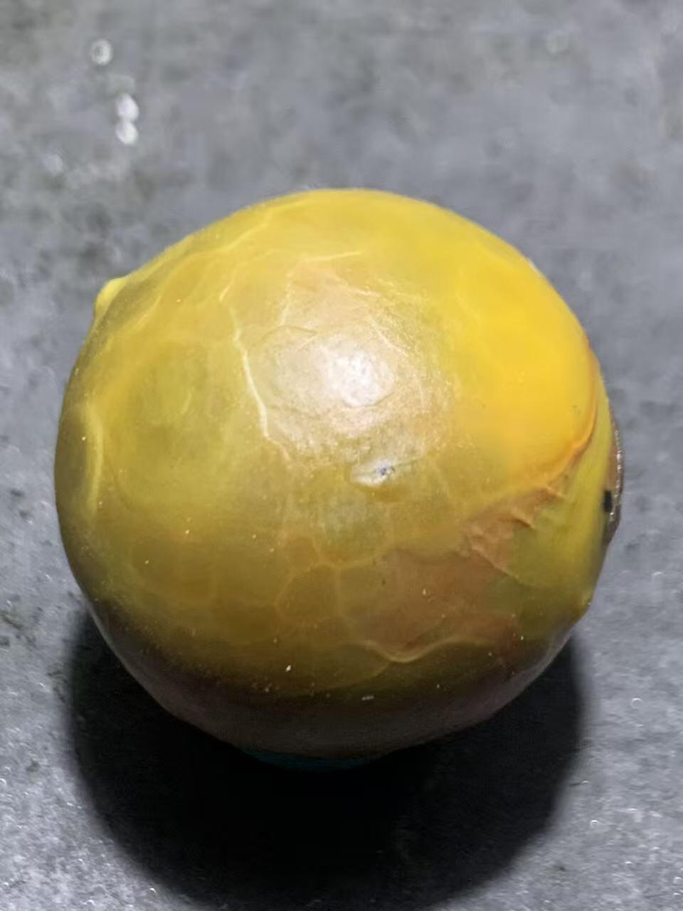 精美冰飘风化纹战国红玛瑙随形珠一个，