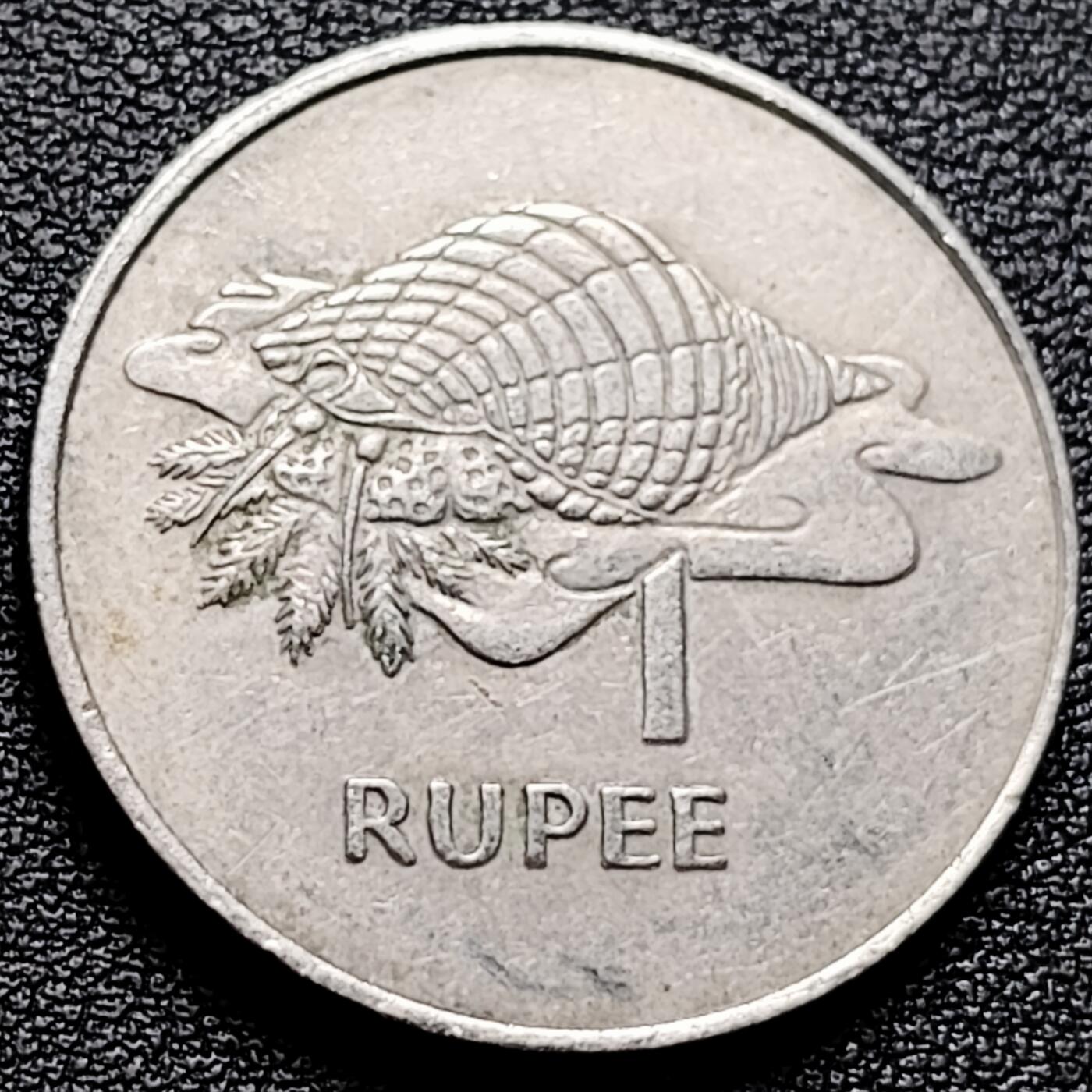 泉币菌-第174场- 精品福利场 。