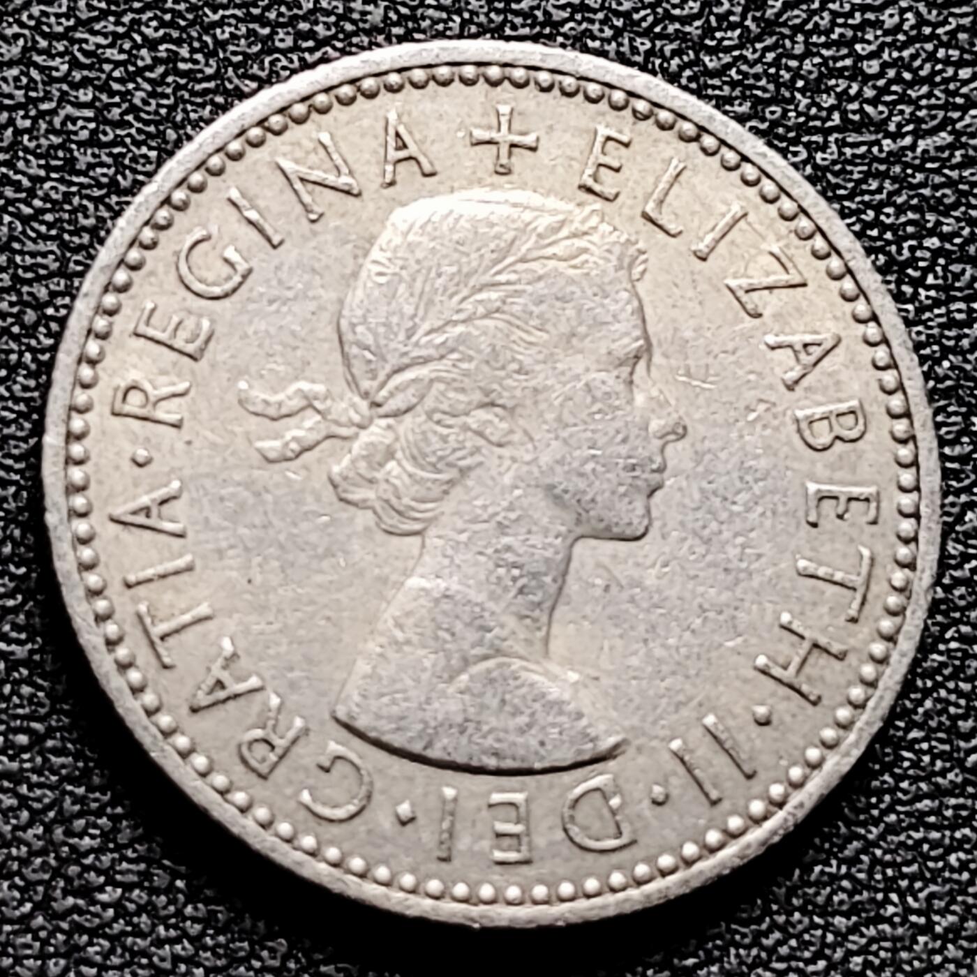 泉币菌-第174场- 精品福利场 。