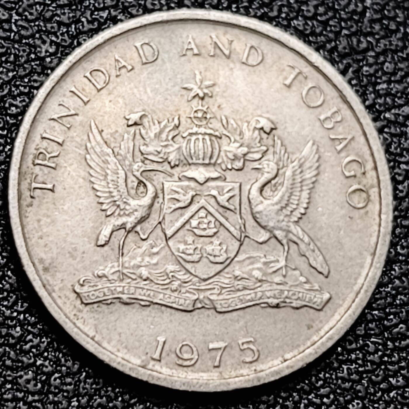 泉币菌-第174场- 精品福利场 。