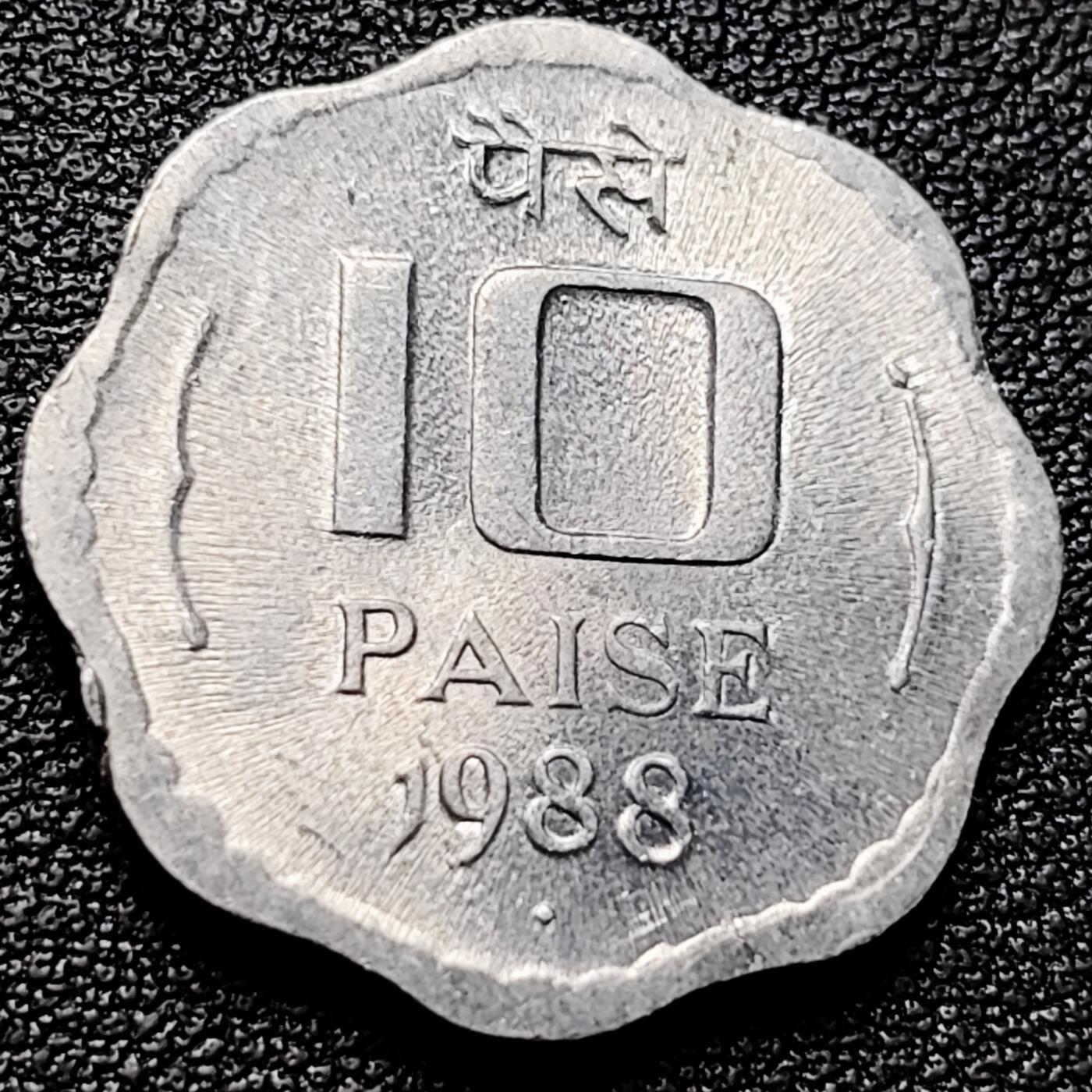 泉币菌-第174场- 精品福利场 。