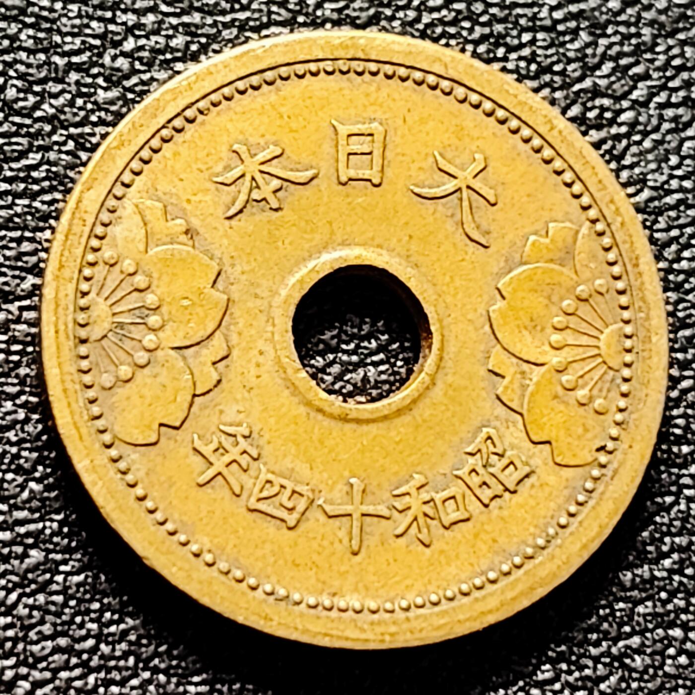 泉币菌-第174场- 精品福利场 。