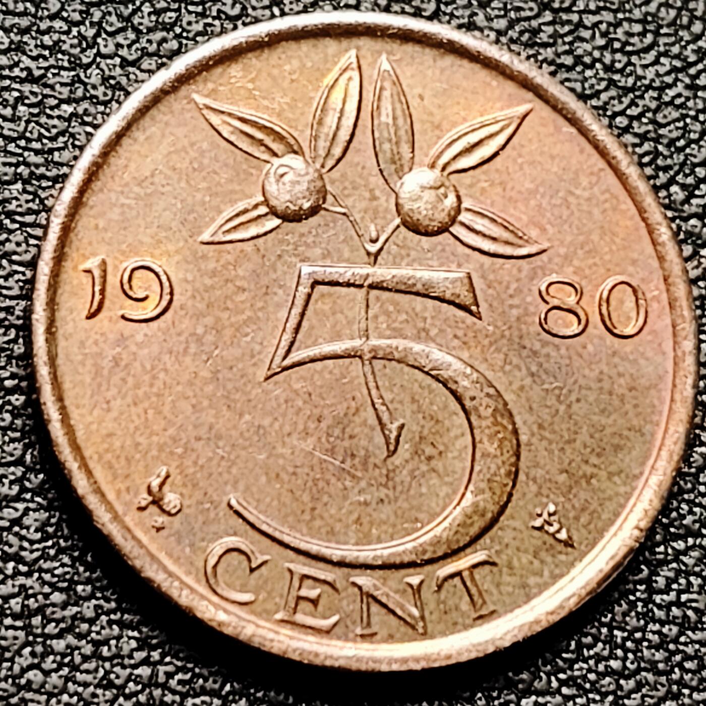 泉币菌-第174场- 精品福利场 。