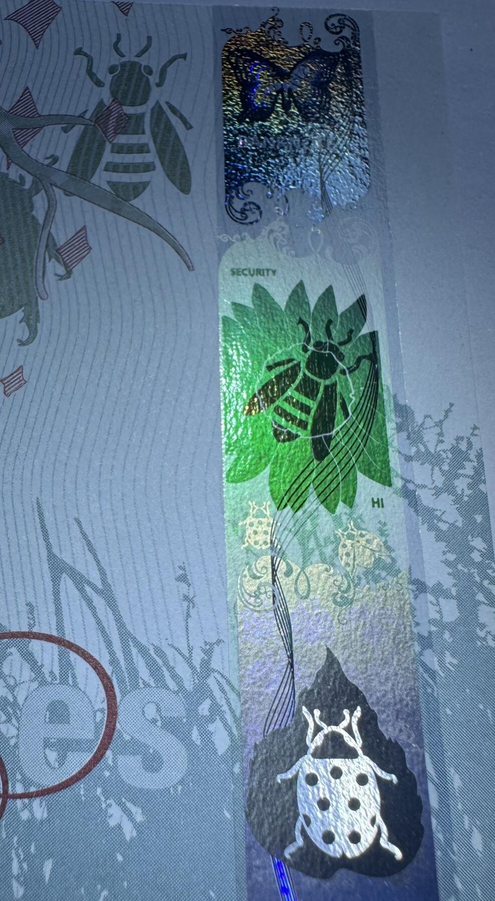 2026第2场（总第229期）：精品测试钞、连体钞综合场