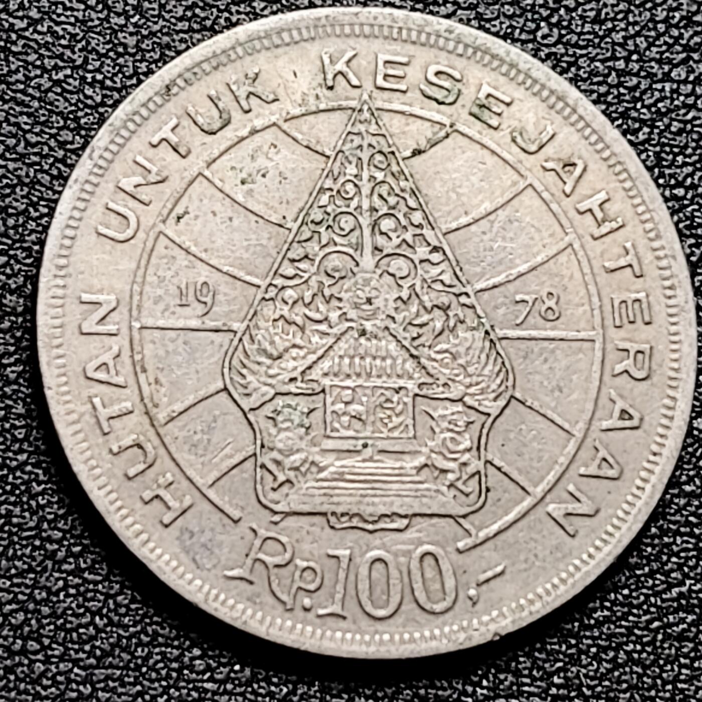 泉币菌-第174场- 精品福利场 。