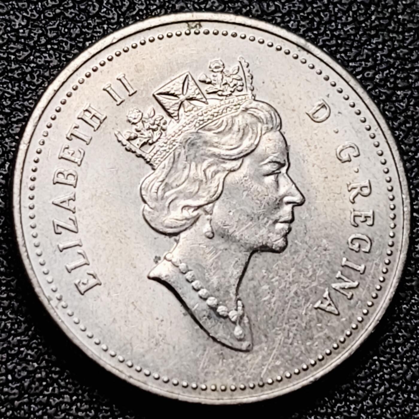 泉币菌-第174场- 精品福利场 。