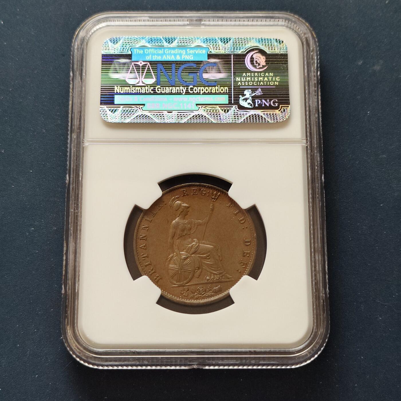 【全场包邮】纯粹捡漏拍497场-持续更新中