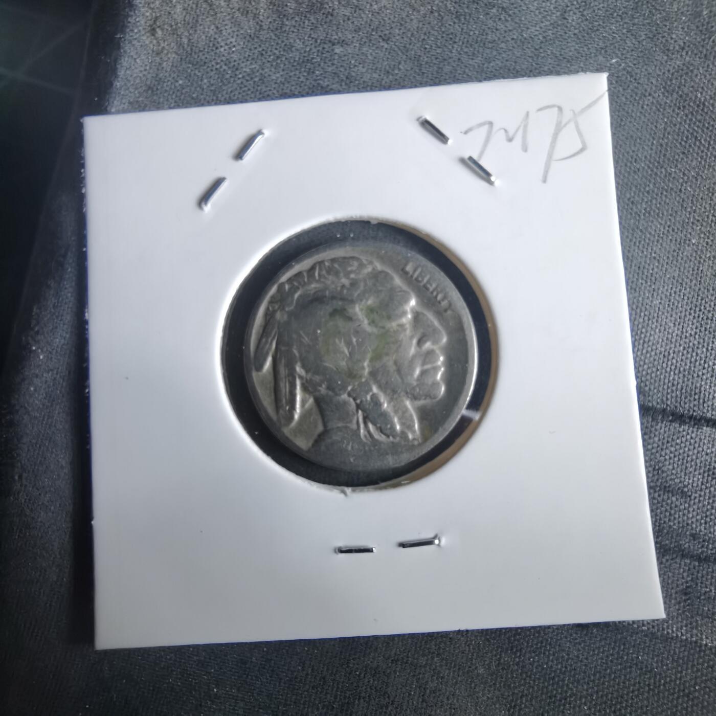 沼泽如烟--第972场 美国野牛五分