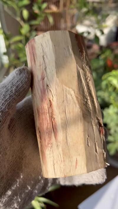 零元拍：  NO.119海南黄花梨原料。尺寸约125/60MM