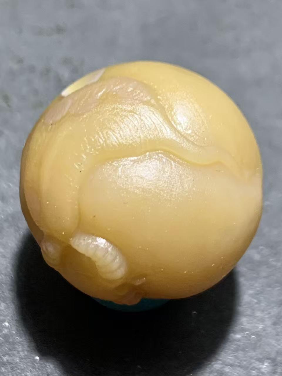 精美亚光冻料天眼纹战国红玛瑙手工俏色巧雕水牛圆珠一个，