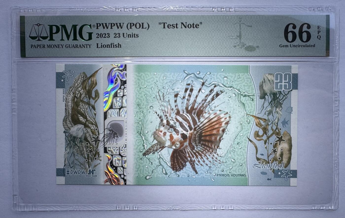 2026第2场（总第229期）：精品测试钞、连体钞综合场