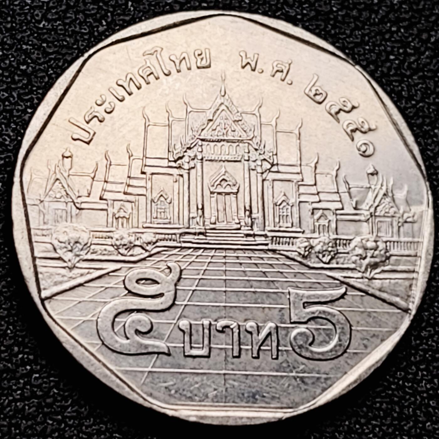 泉币菌-第174场- 精品福利场 。