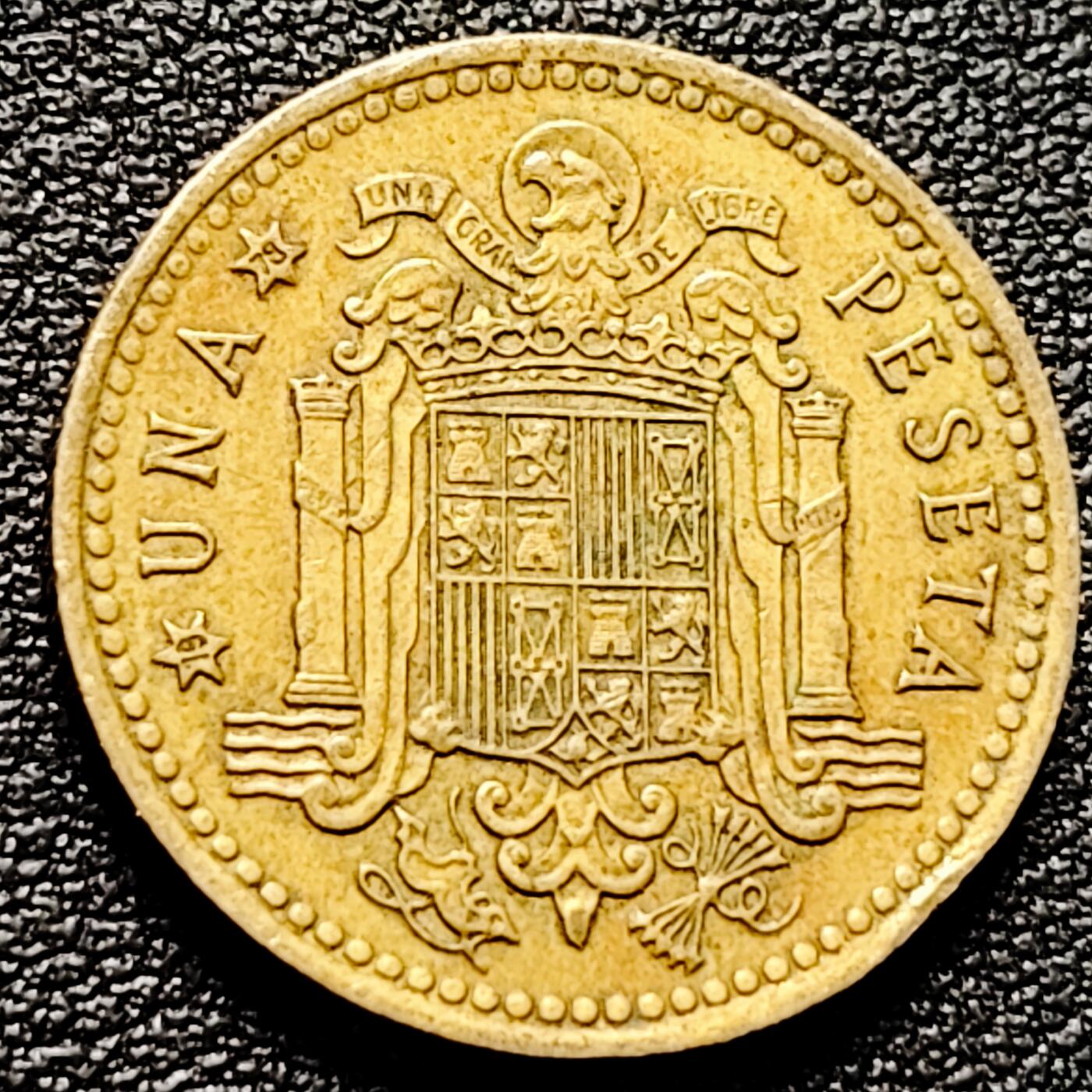 泉币菌-第174场- 精品福利场 。