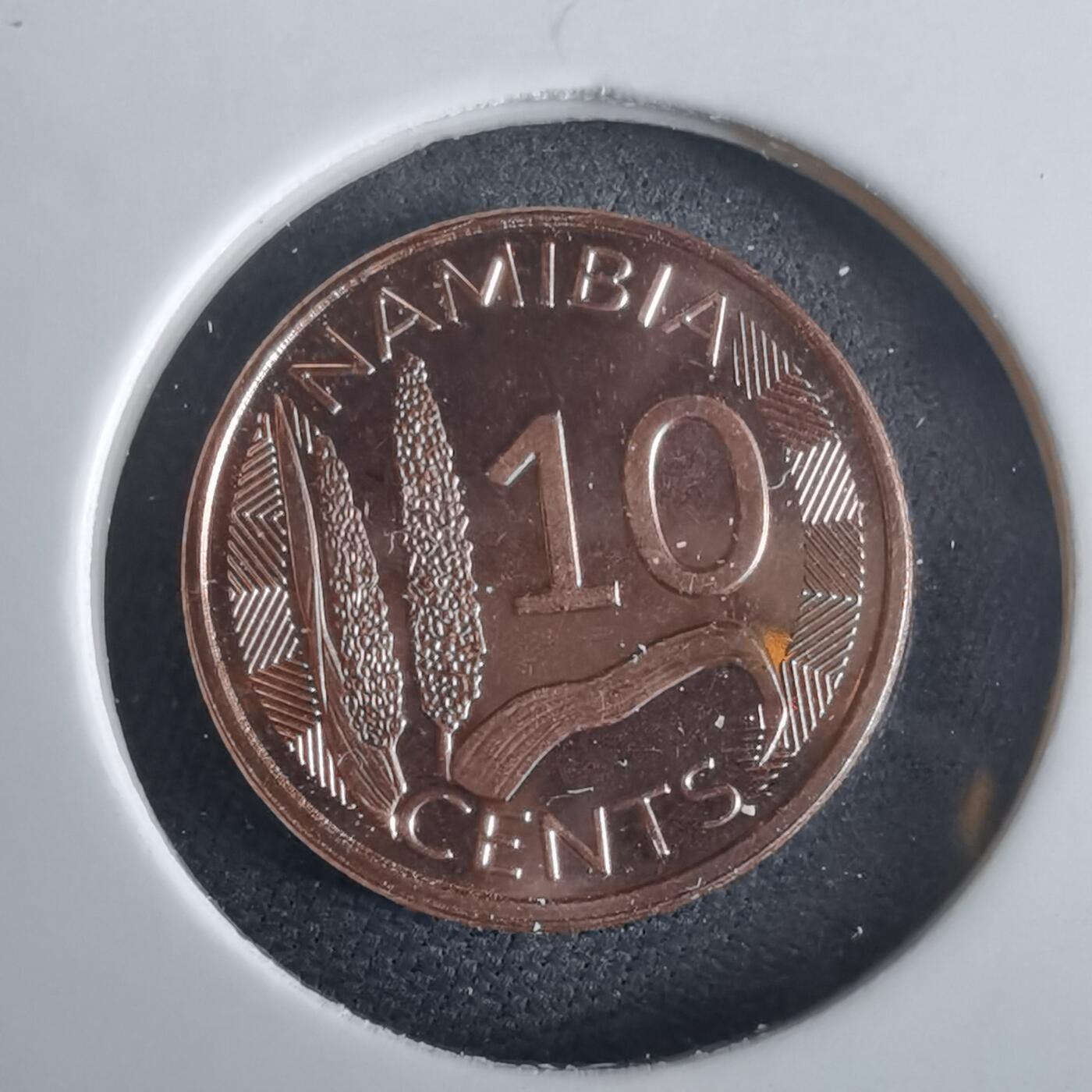 沼泽如烟--第972场 纳米比亚2025年10分