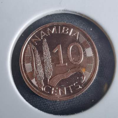 沼泽如烟--第972场 - 纳米比亚2025年10分