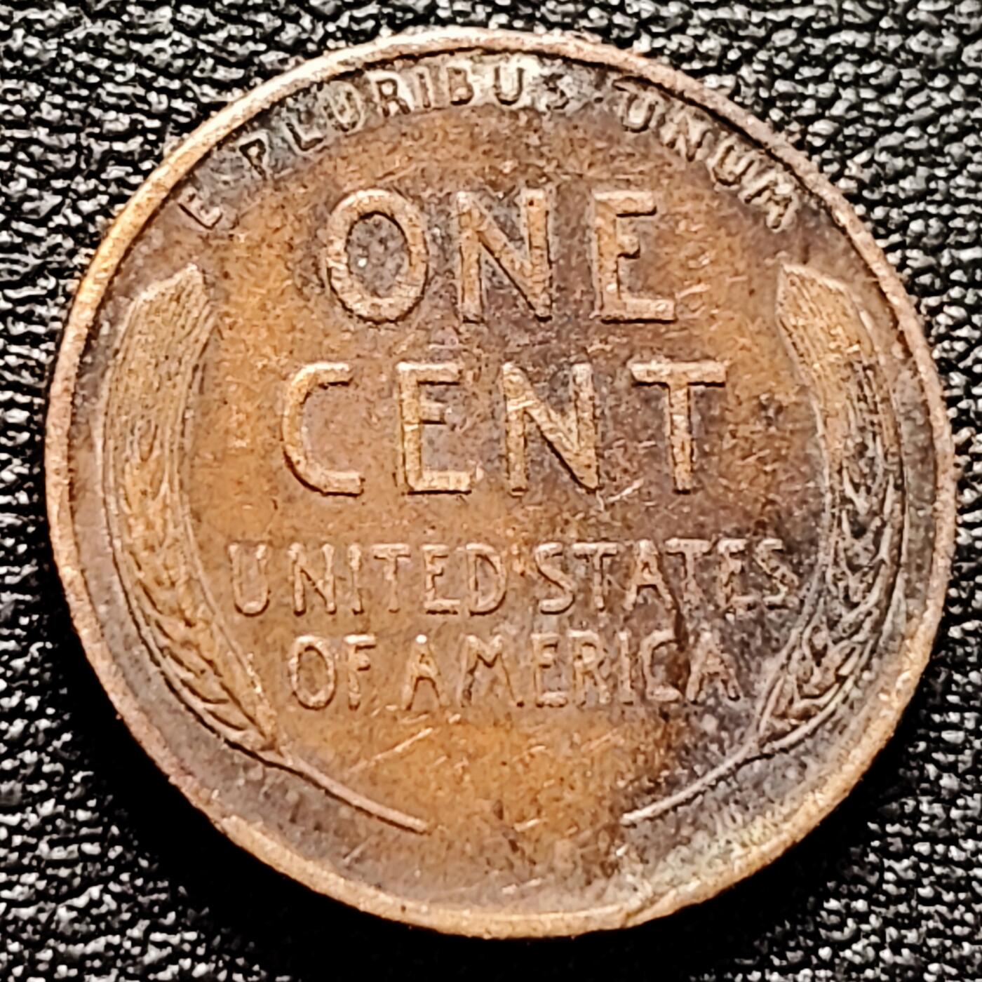 泉币菌-第174场- 精品福利场 @