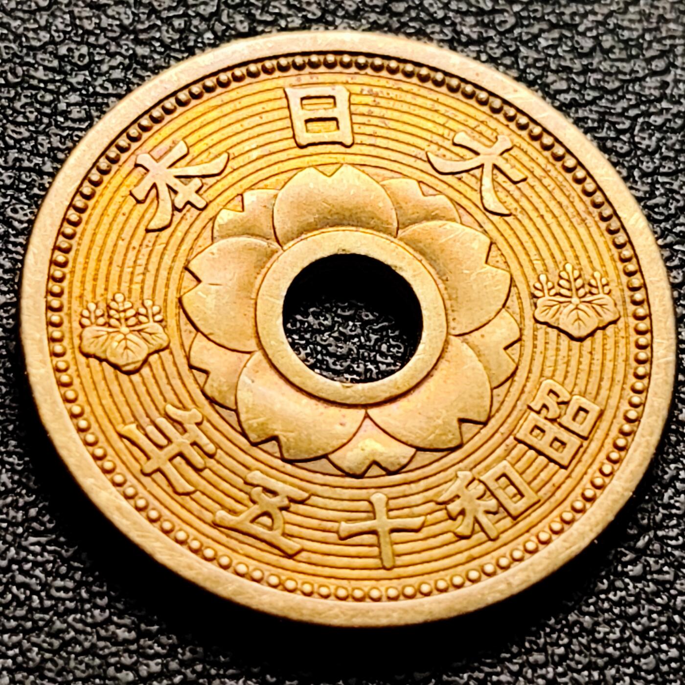 泉币菌-第174场- 精品福利场 。