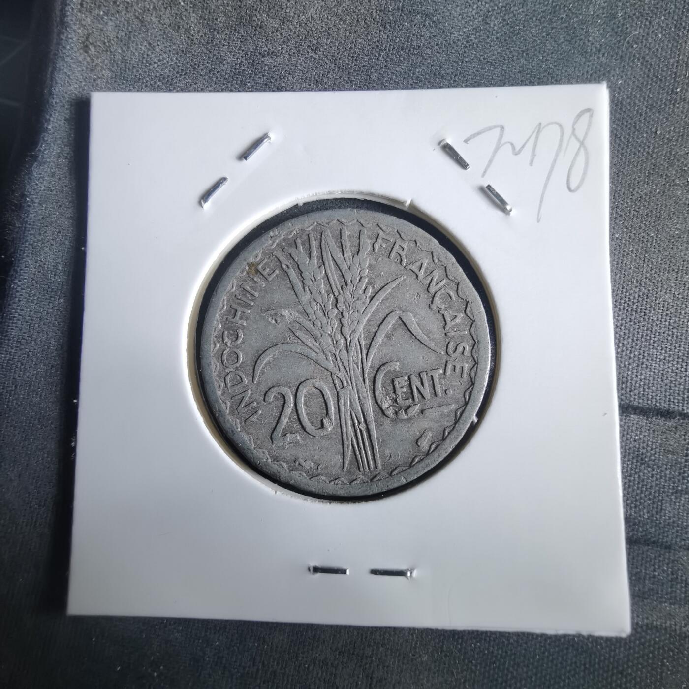 沼泽如烟--第972场