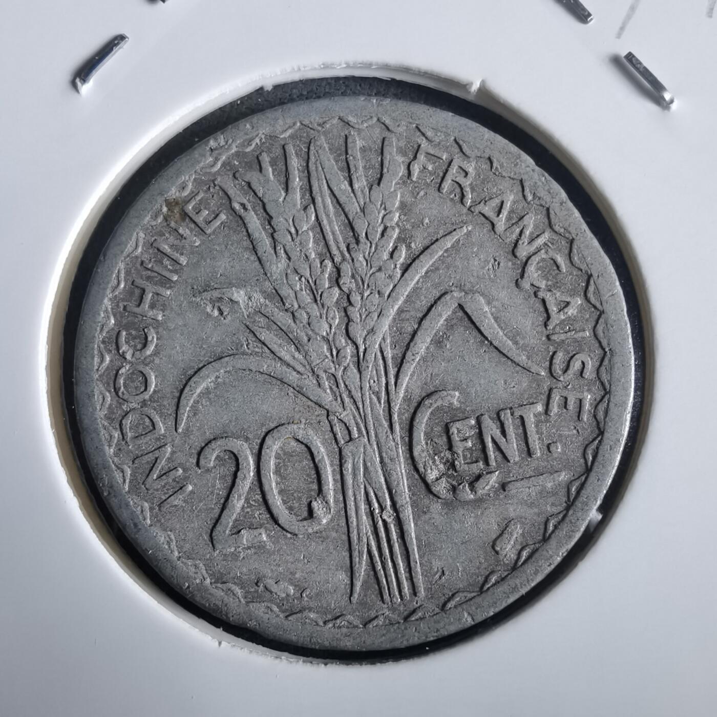 沼泽如烟--第972场