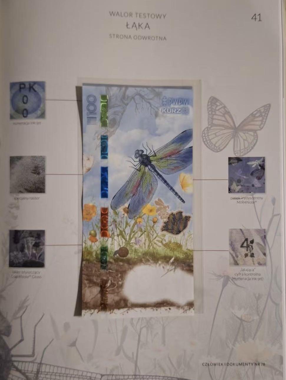 2026第2场（总第229期）：精品测试钞、连体钞综合场