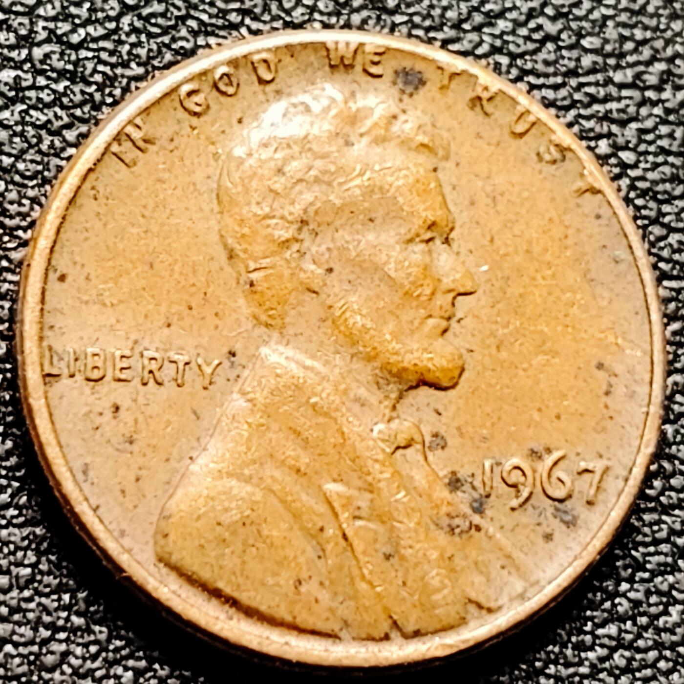 泉币菌-第174场- 精品福利场 。