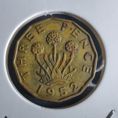 沼泽如烟--第972场 - 英国1952年3便士