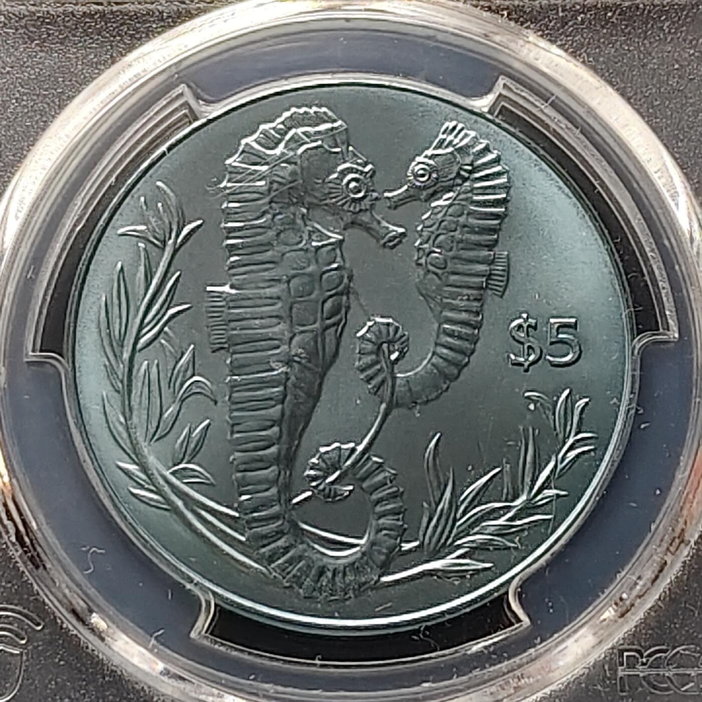 【全场包邮】纯粹捡漏拍497场-持续更新中