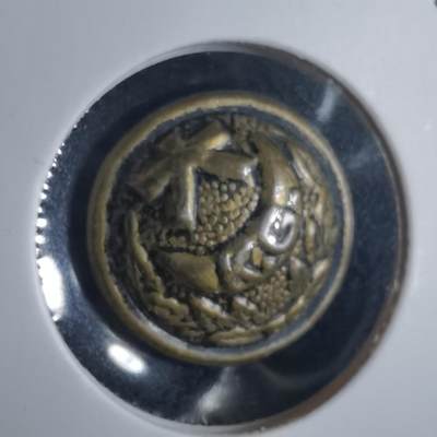 沼泽如烟--第972场 - 纽扣