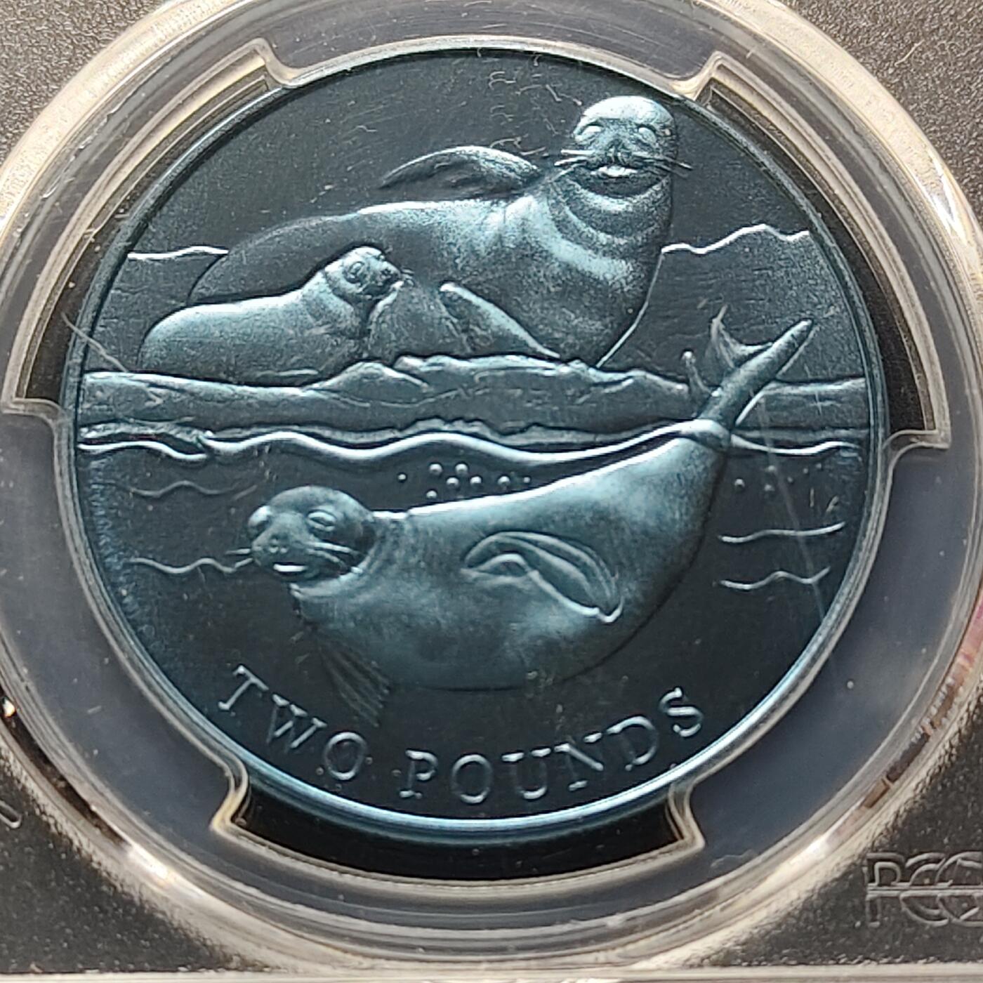 【全场包邮】纯粹捡漏拍497场-持续更新中