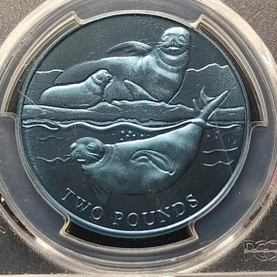 【全场包邮】纯粹捡漏拍497场-持续更新中 - 英属南极领地