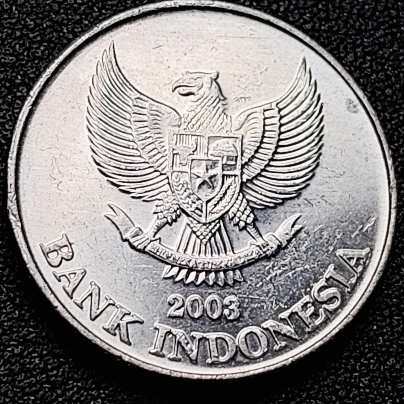 泉币菌-第174场- 精品福利场 。