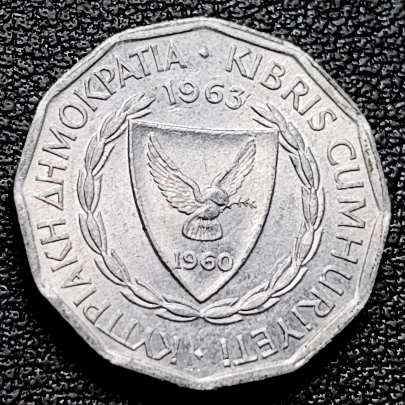 泉币菌-第174场- 精品福利场 。