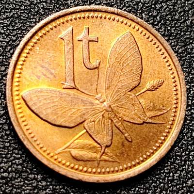 泉币菌-第174场- 精品福利场 -  蝴蝶鸟翼蝶 巴布亚新几内亚1托伊青铜小硬币 17.6毫米2克