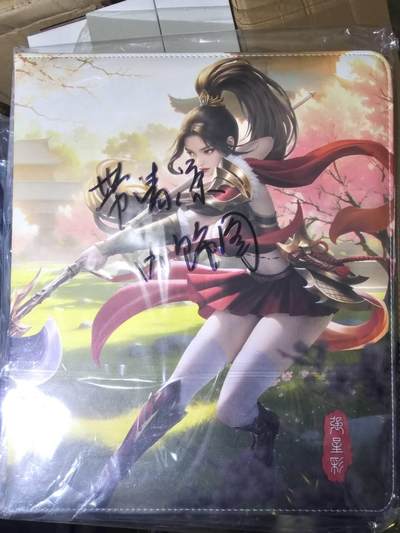 春节前倒数第三场！！龙虎卡牌-七三场（满200元包邮，无佣金，每周六结拍，欢迎送拍） - 美女主题9宫拉链卡册 (无内页 内面清凉)