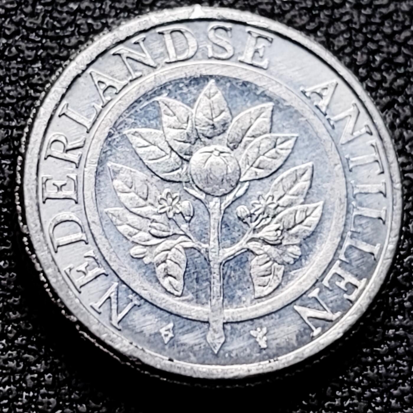 泉币菌-第174场- 精品福利场 。