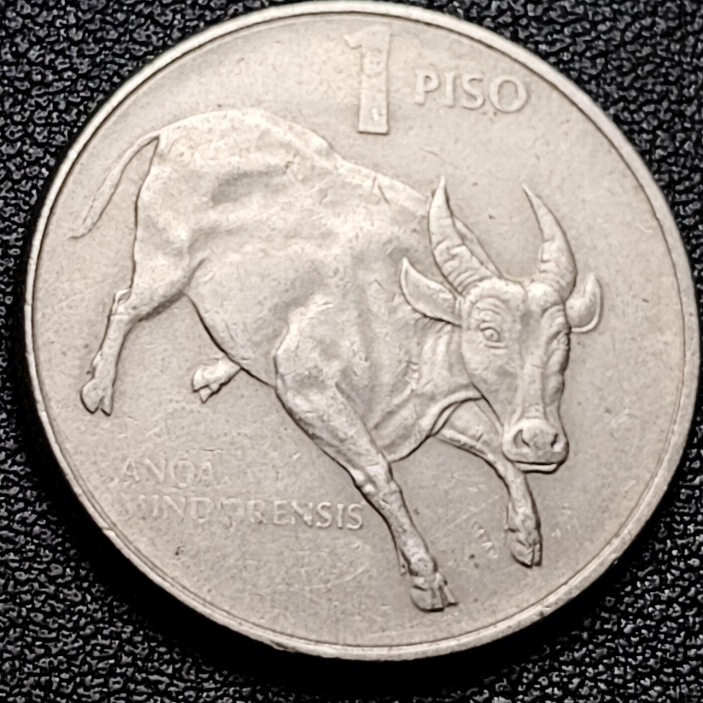 泉币菌-第174场- 精品福利场 。