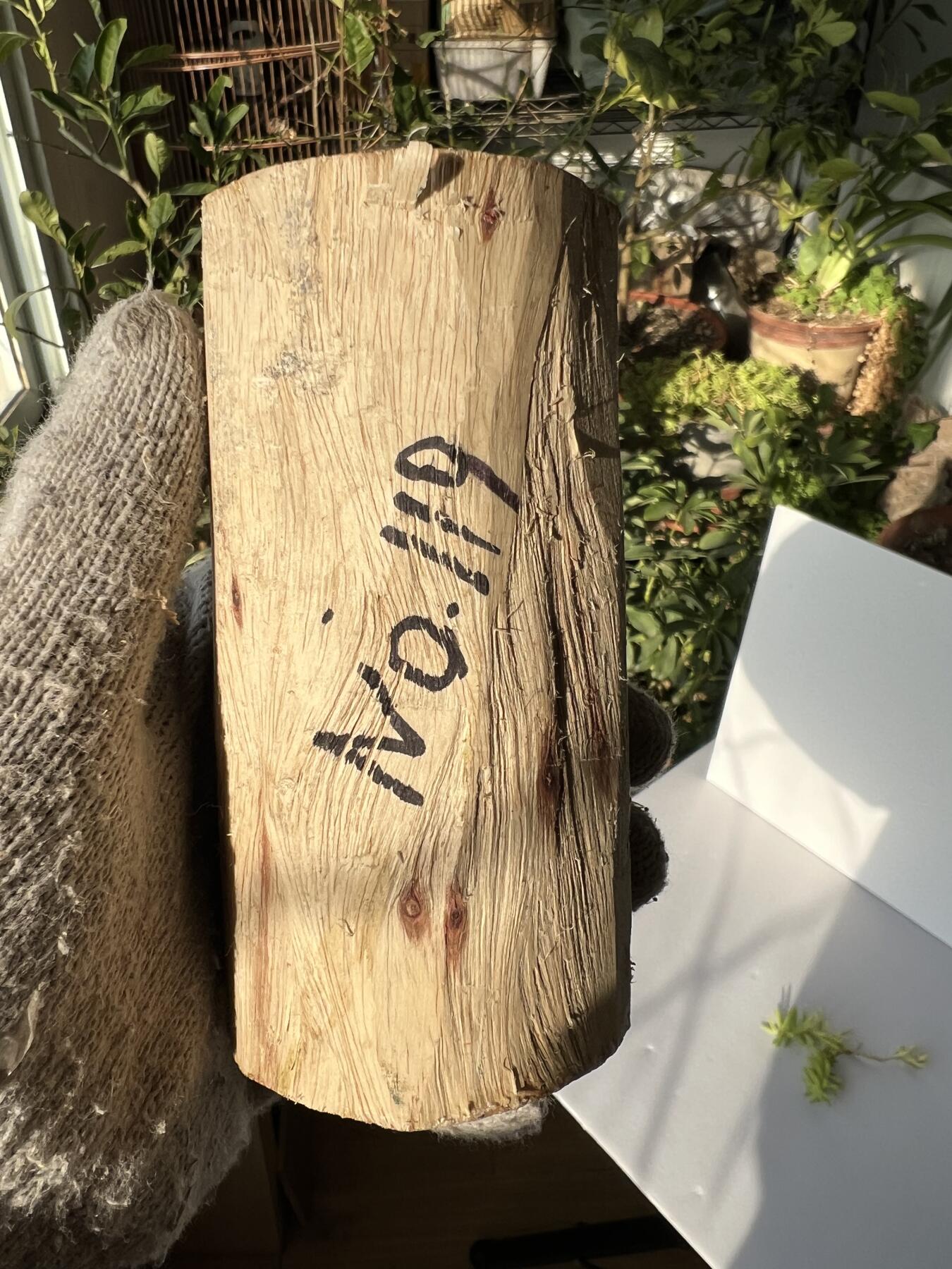 零元拍：  NO.119海南黄花梨原料。尺寸约125/60MM