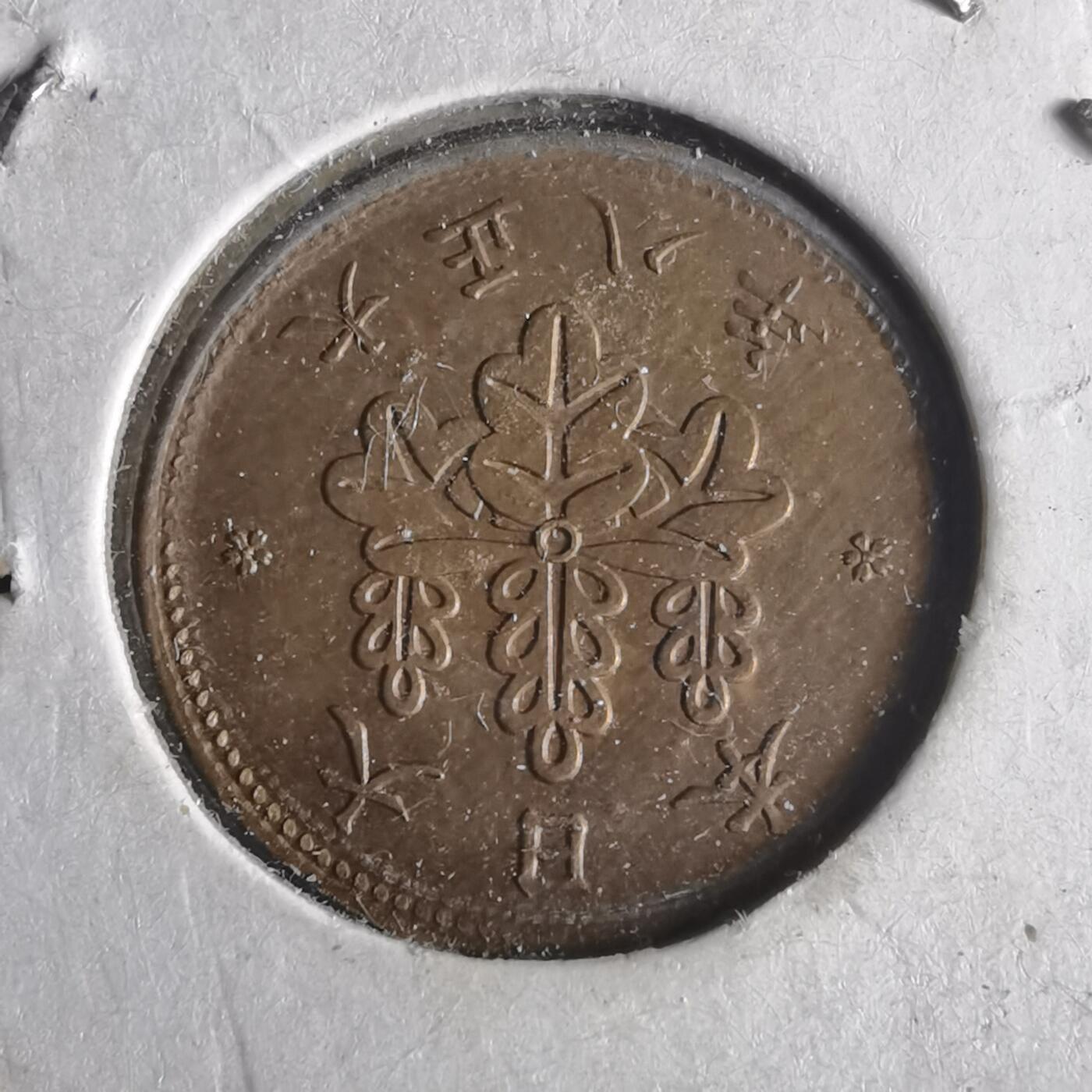 沼泽如烟--第972场