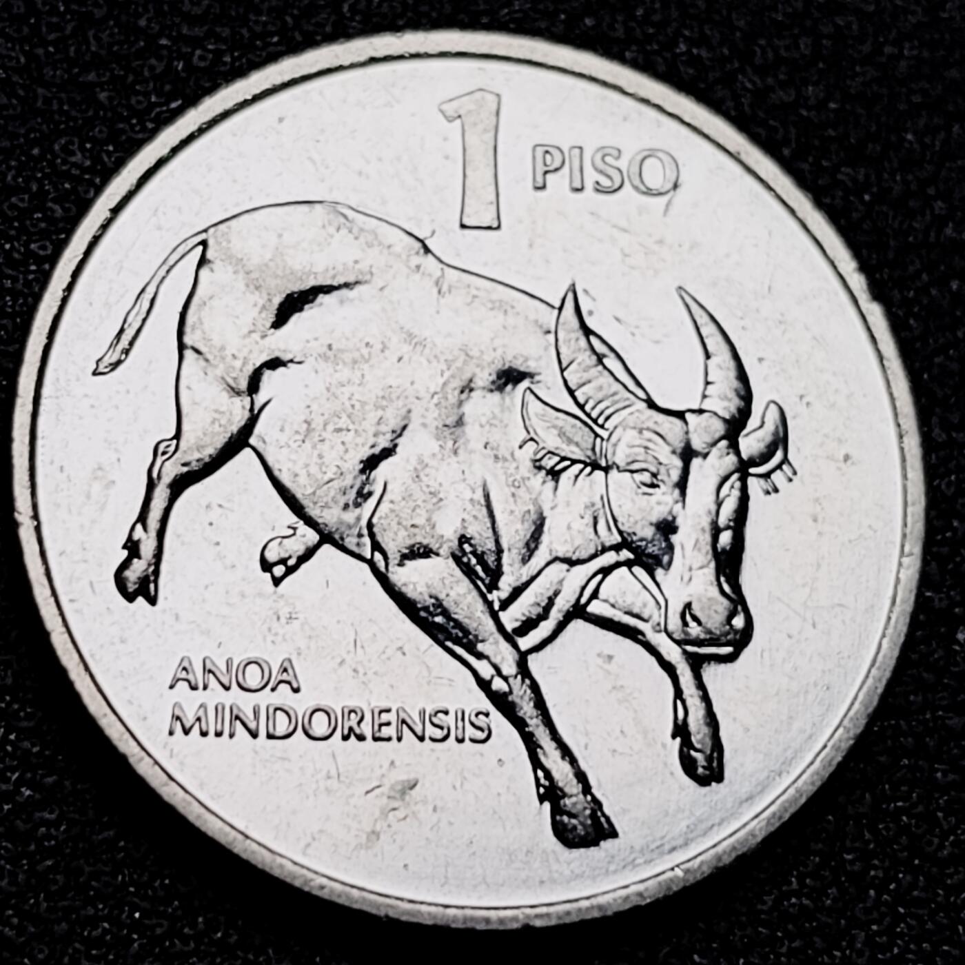 泉币菌-第174场- 精品福利场 。