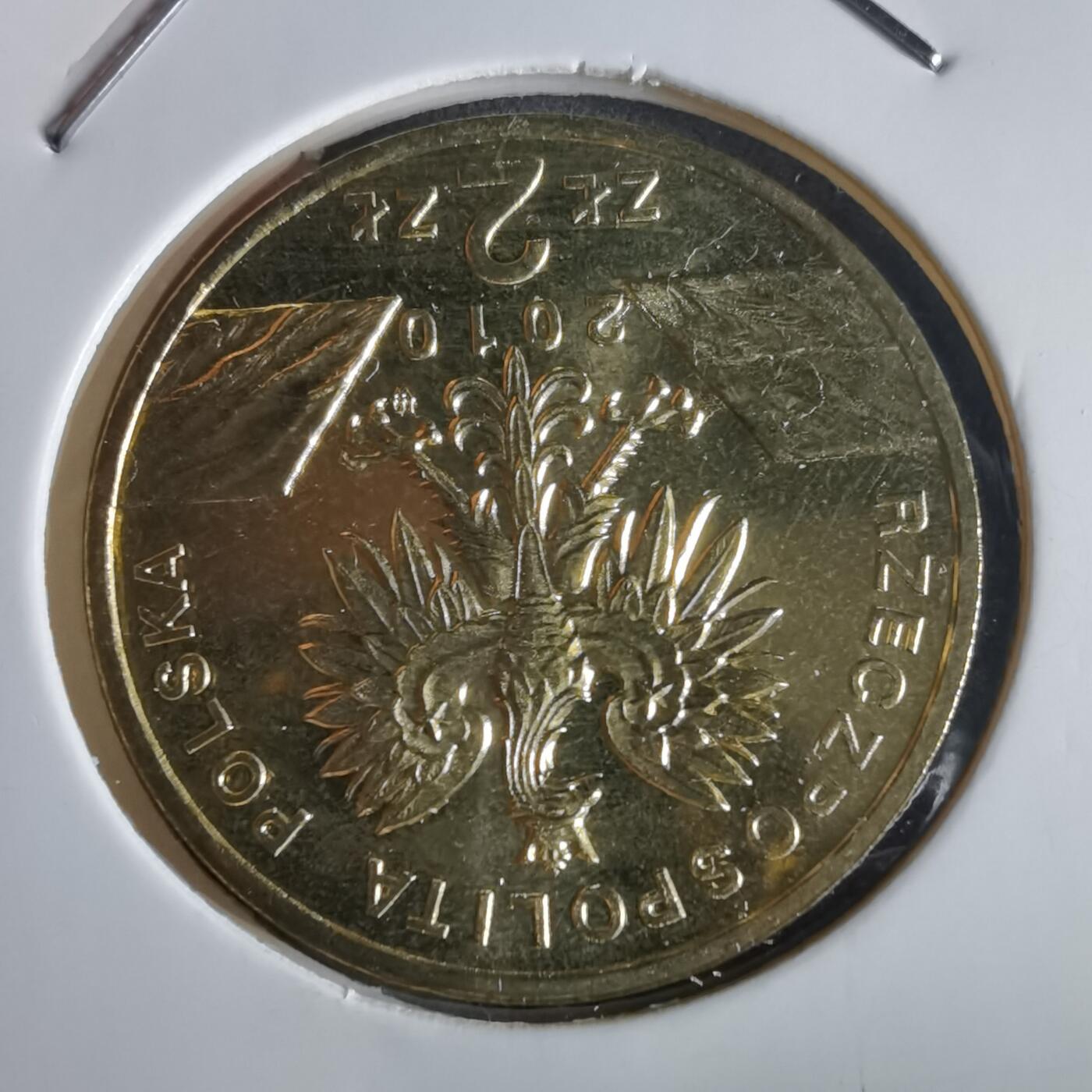 沼泽如烟--第972场 波兰2010年2兹罗提