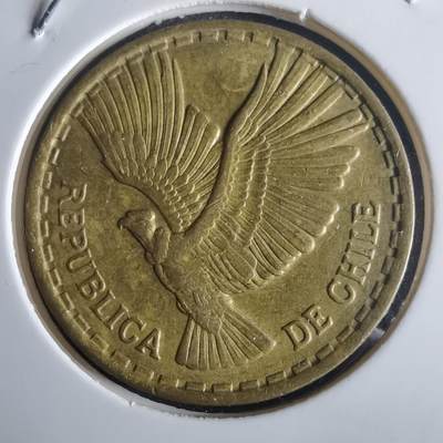 沼泽如烟--第972场 - 智利1970年十分