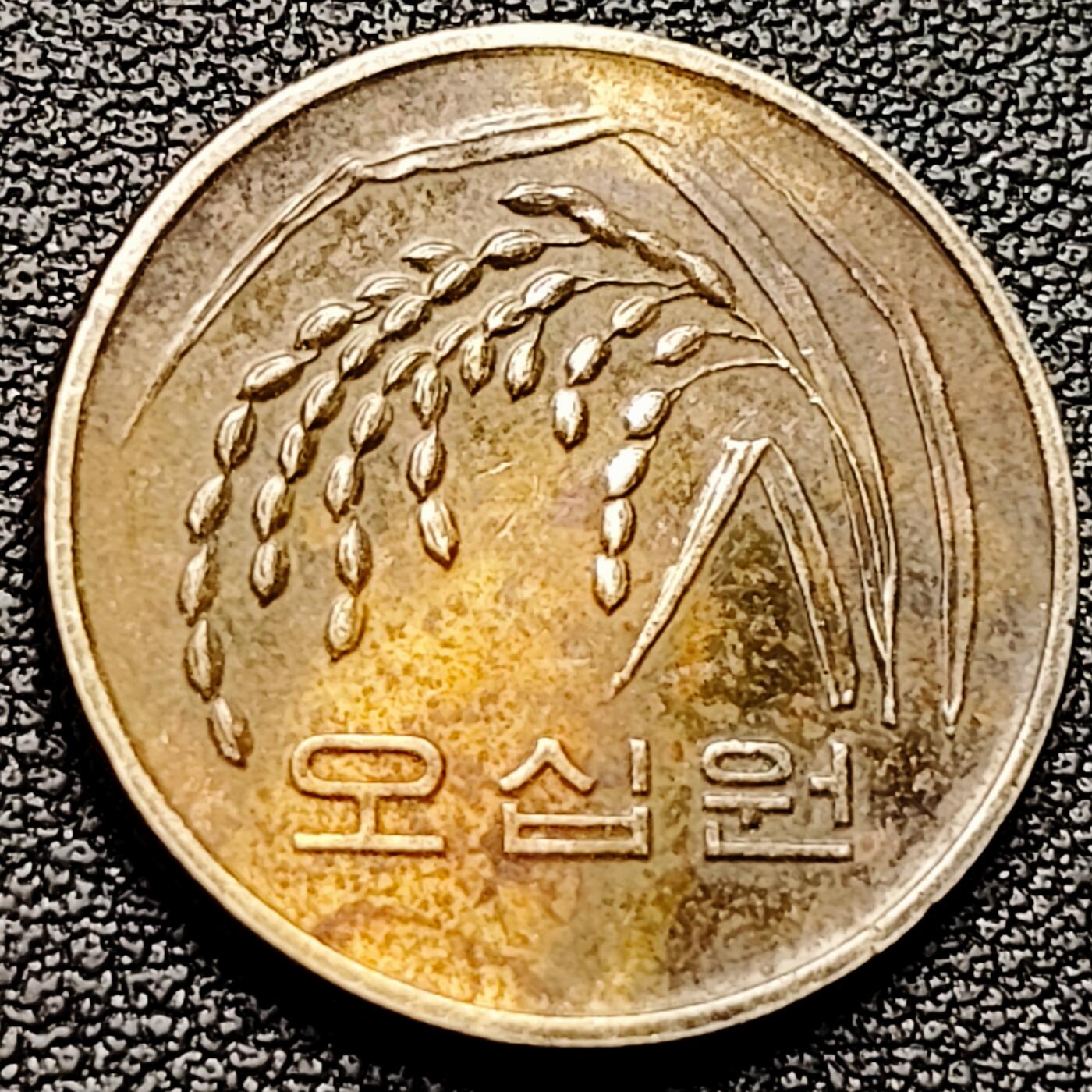 泉币菌-第174场- 精品福利场 。