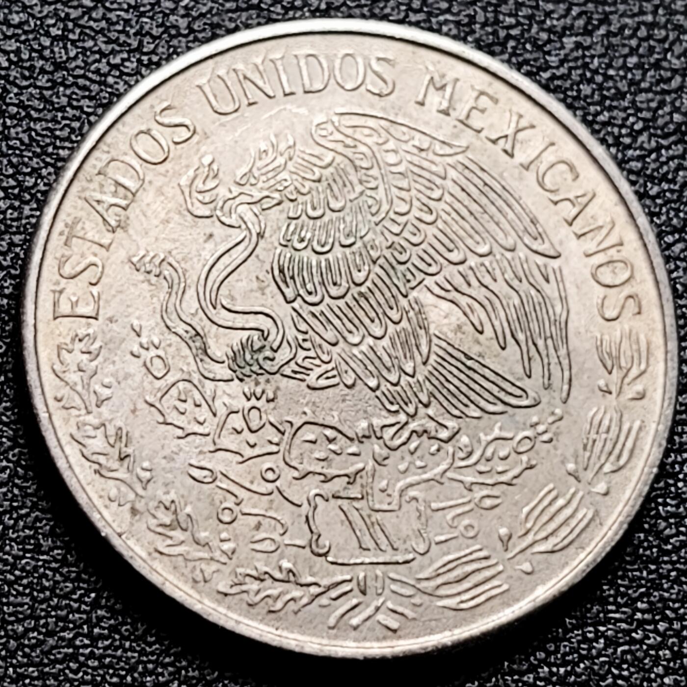 泉币菌-第174场- 精品福利场 。