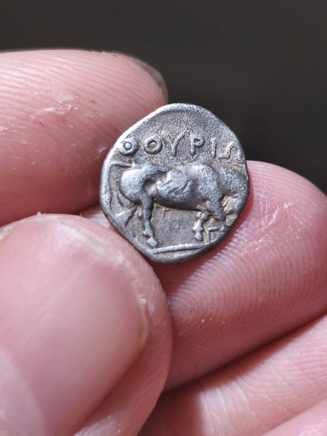 星盘世界钱币一月三十一日古典币专场 古希腊- 大希腊 卢卡尼亚地区-雅典娜与公牛3奥波银币 1.09g，公元前443-前400年图伊里发行（正面：雅典娜头戴阿提卡头盔，其上有桂冠纹饰，背面：向右冲撞公牛）