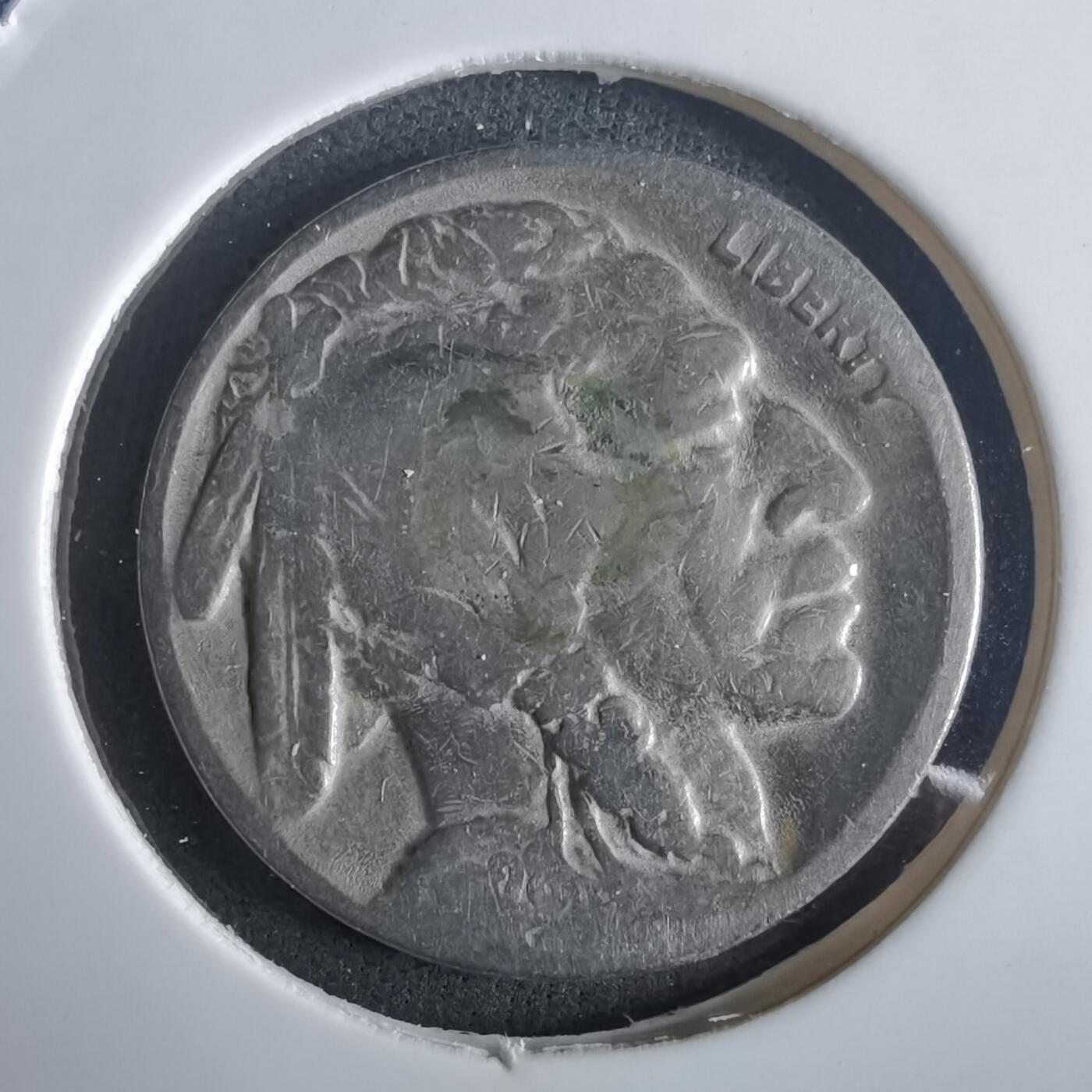 沼泽如烟--第972场 美国野牛五分