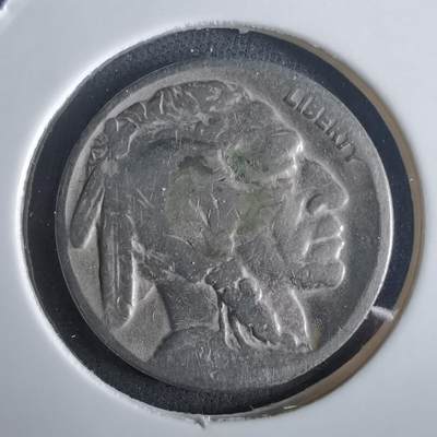 沼泽如烟--第972场 - 美国野牛五分