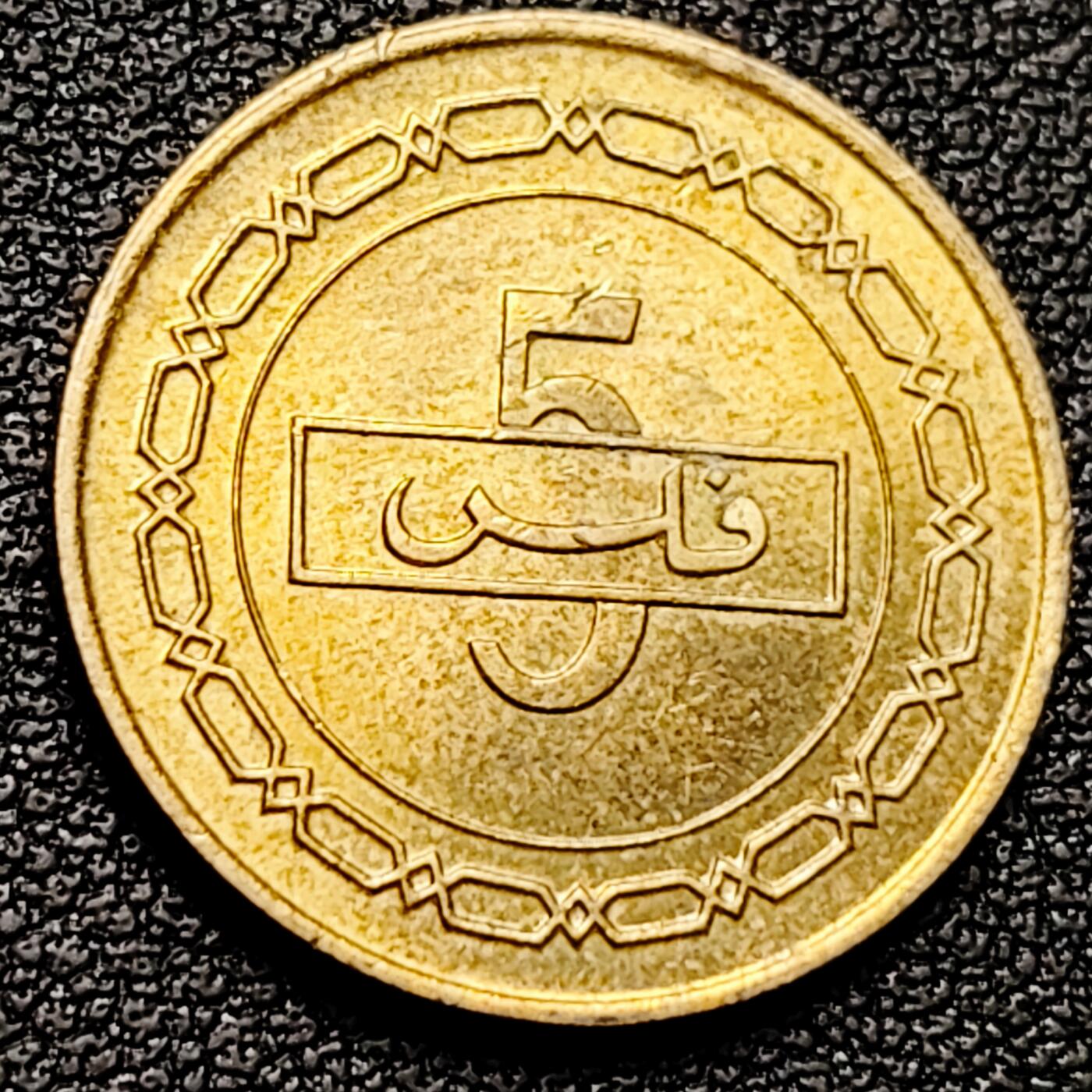 泉币菌-第174场- 精品福利场 。