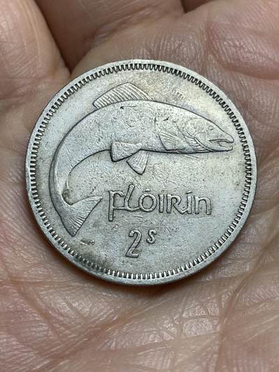 2026年第十四场(总第一百八十三场）外国好品散币场(免佣金) - 爱尔兰🇮🇪1962年1弗洛林(等值2先令，共和国时期第一套第二版)