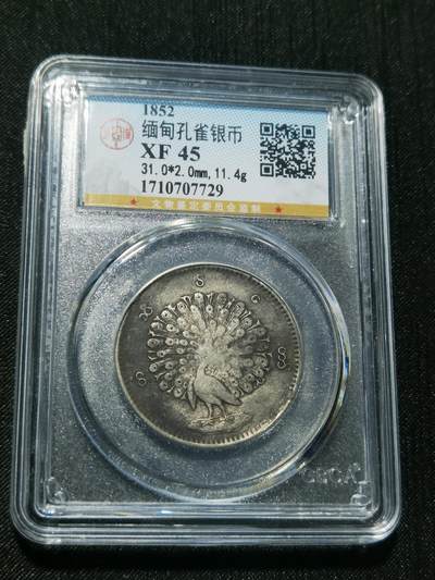 天下钱庄专场欢迎参拍 - 公博评级XF45缅甸孔雀银币