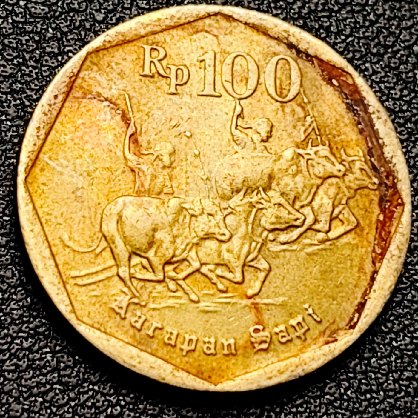 泉币菌-第174场- 精品福利场 。